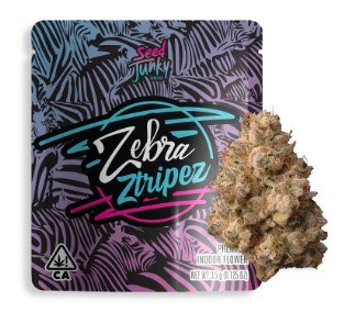 Zebra Ztripez