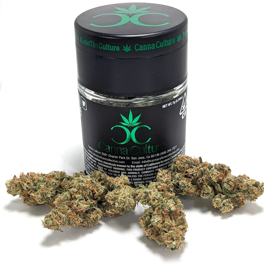Canna Culture — Casa Blanca