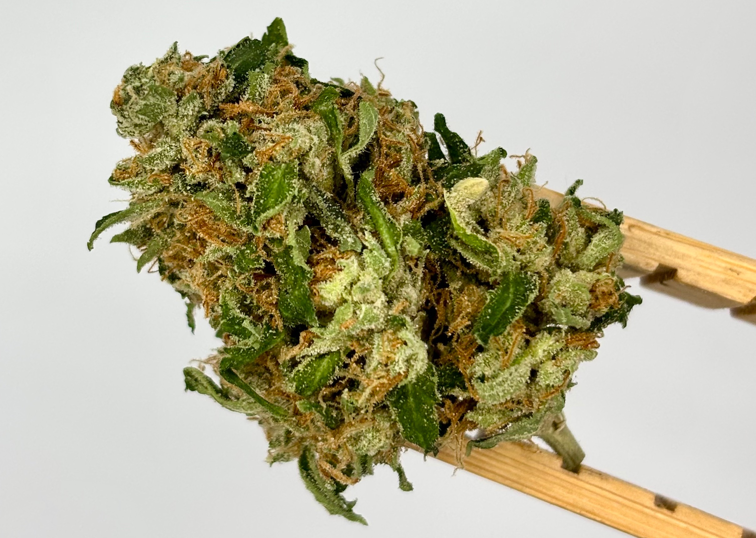 Skywalker Og Bulk Flower Purple