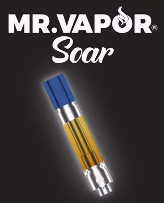MR VAPOR 510 CARTRIDGE | BLUEBERRY GELATO | HYBRID