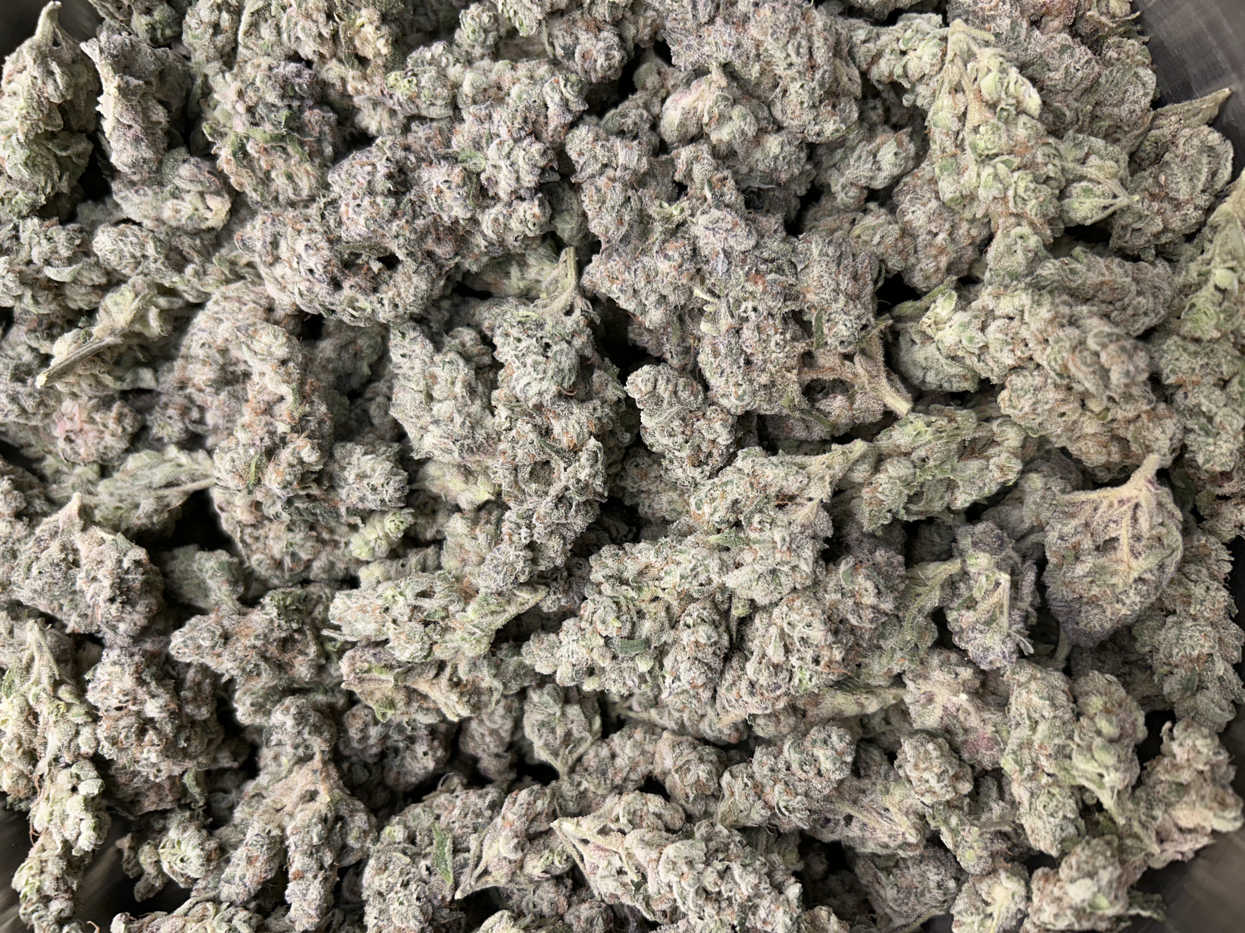 Pomello Punch Buds 1.3% Terps