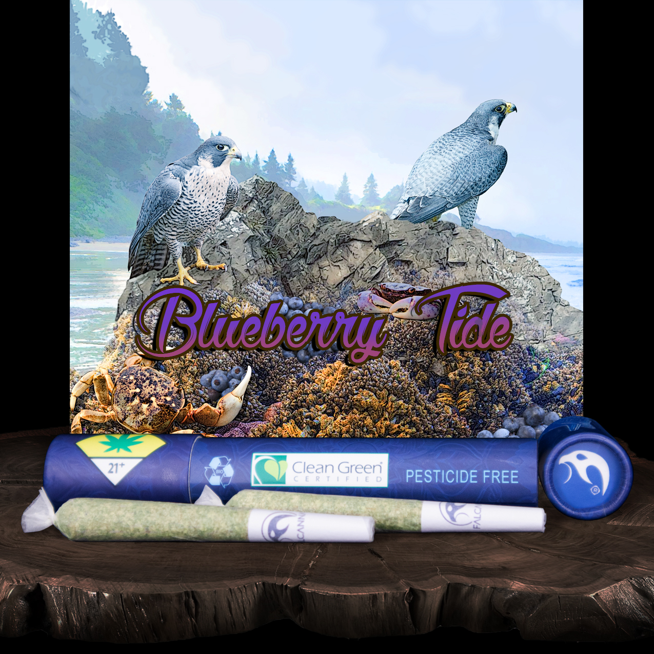 FALCANNA - Blueberry Tide Pre-Roll 2-Pack | 1.2g