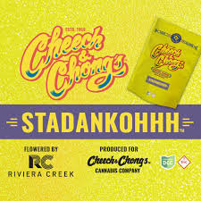Stadankohhh | H