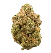 (19149) THCD 1g El Chivo Bud