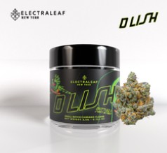 D - Lish 3.5 - Hybrid