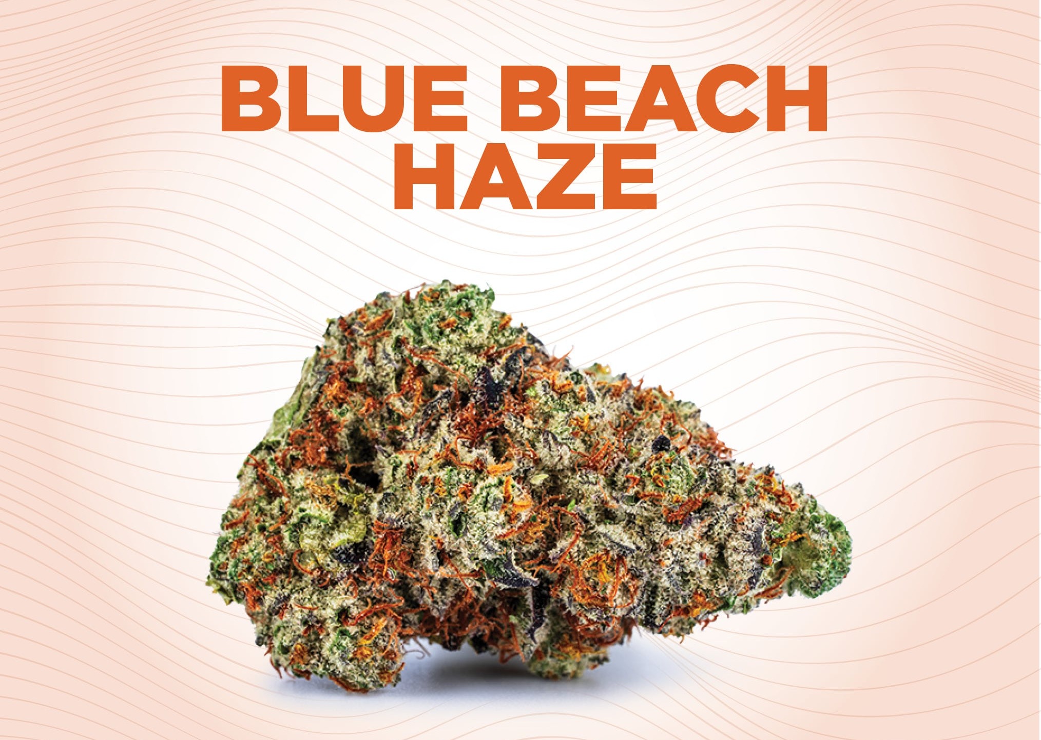Blue Beach HZ