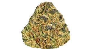 Super Lemon Cherry Gelato