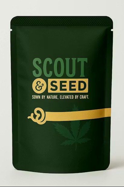 Pre Popcorn Pinyatti