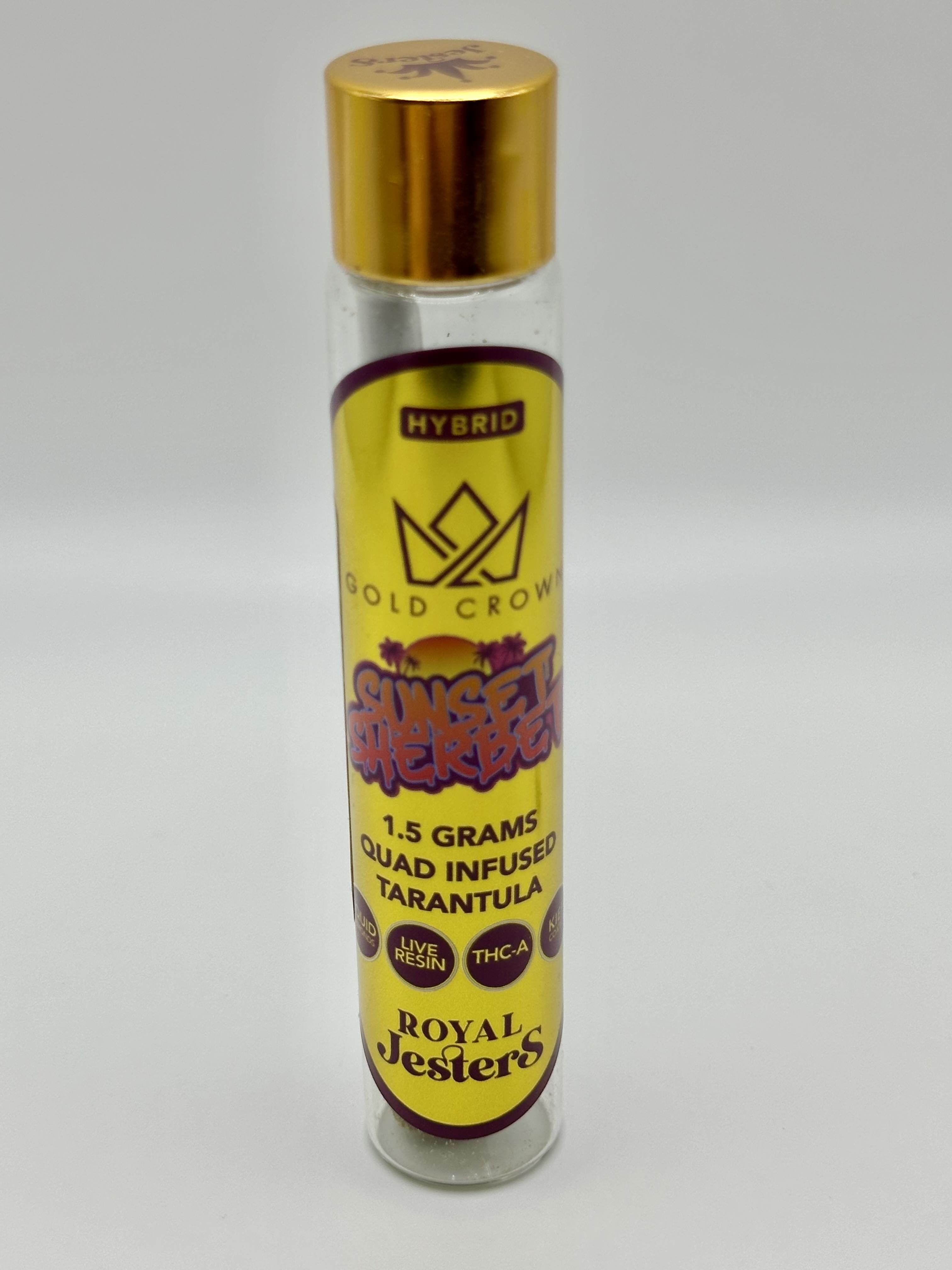 Jesters Tarantula Sunset Sherbert