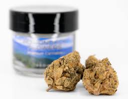 Adirondack Flower Garlic Mountain Slurry (IH)  3.5g
