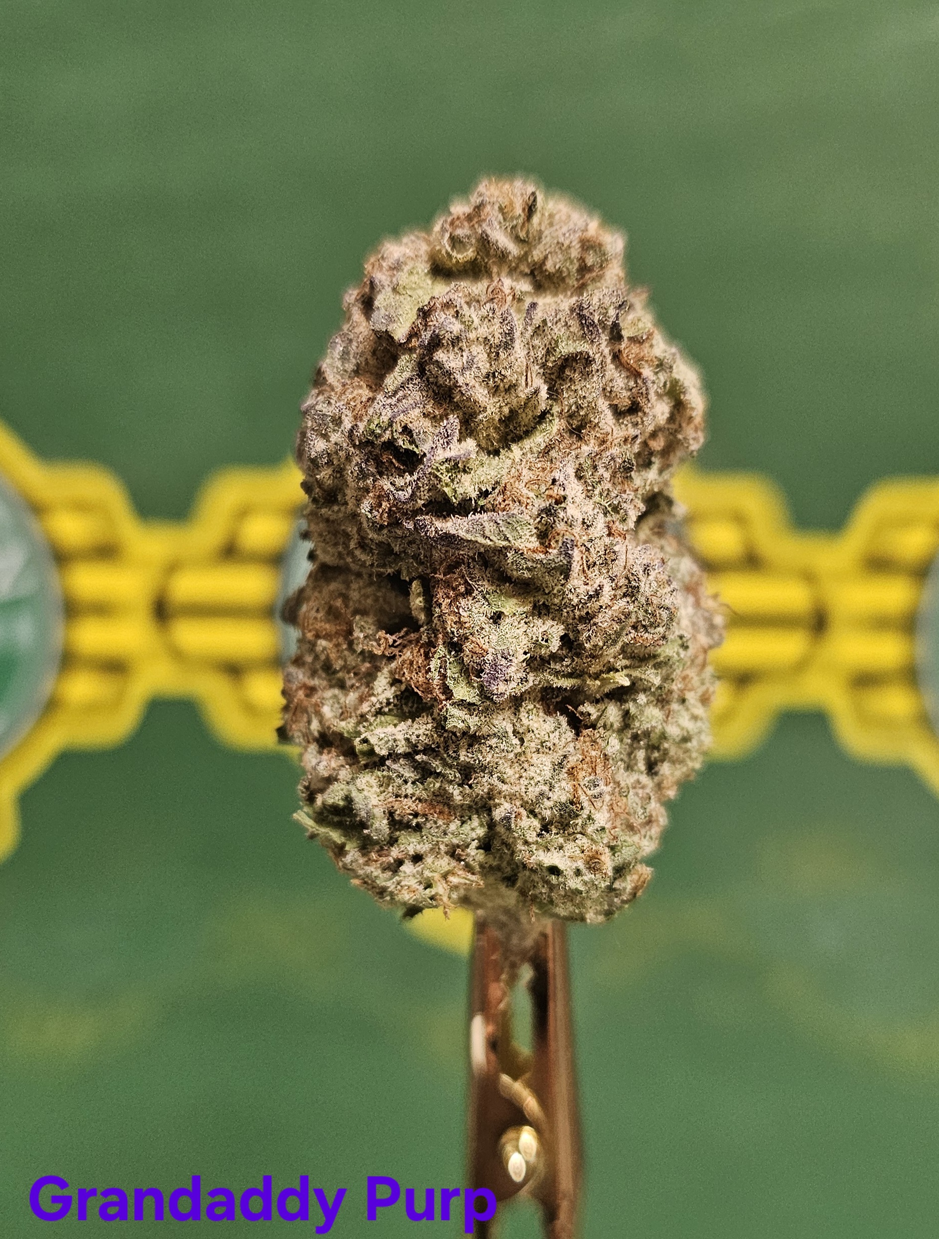 Grandaddy Purp - (I)