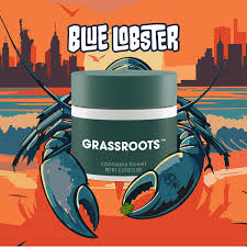 Grassroots | Flower | Blue Lobster | Hybrid - 7g
