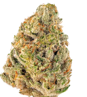 Hash Burger | Hybrid | Bulk Flower | Gold