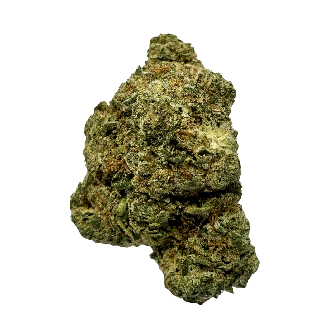 HIGH NEIGHBOR | PRIVATE BANANA | BULK FLOWER