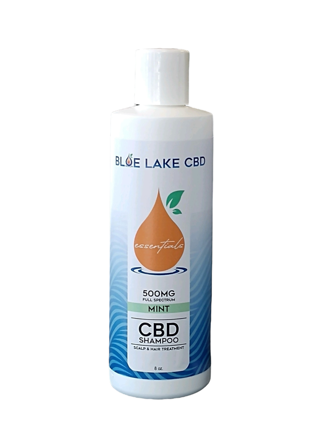 Mint Shampoo