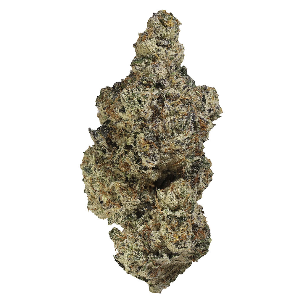 Homestead - Bandwagon - 7g