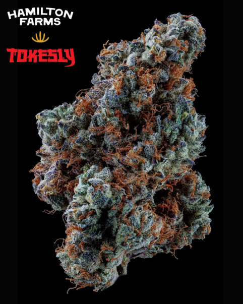 Hamilton Farms x Tokesly  Strawberry Milano