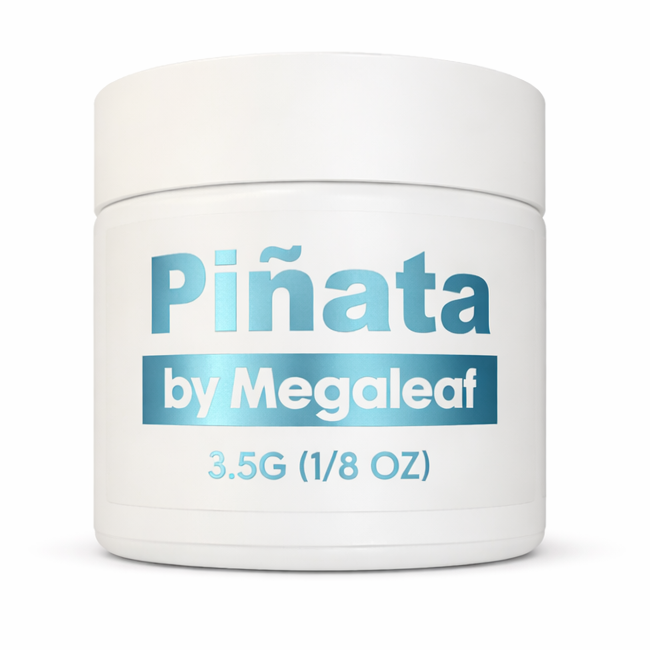 Pinata | Flower | 3.