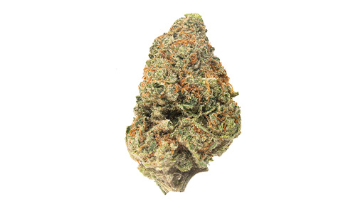 Gary's Milk | 28g