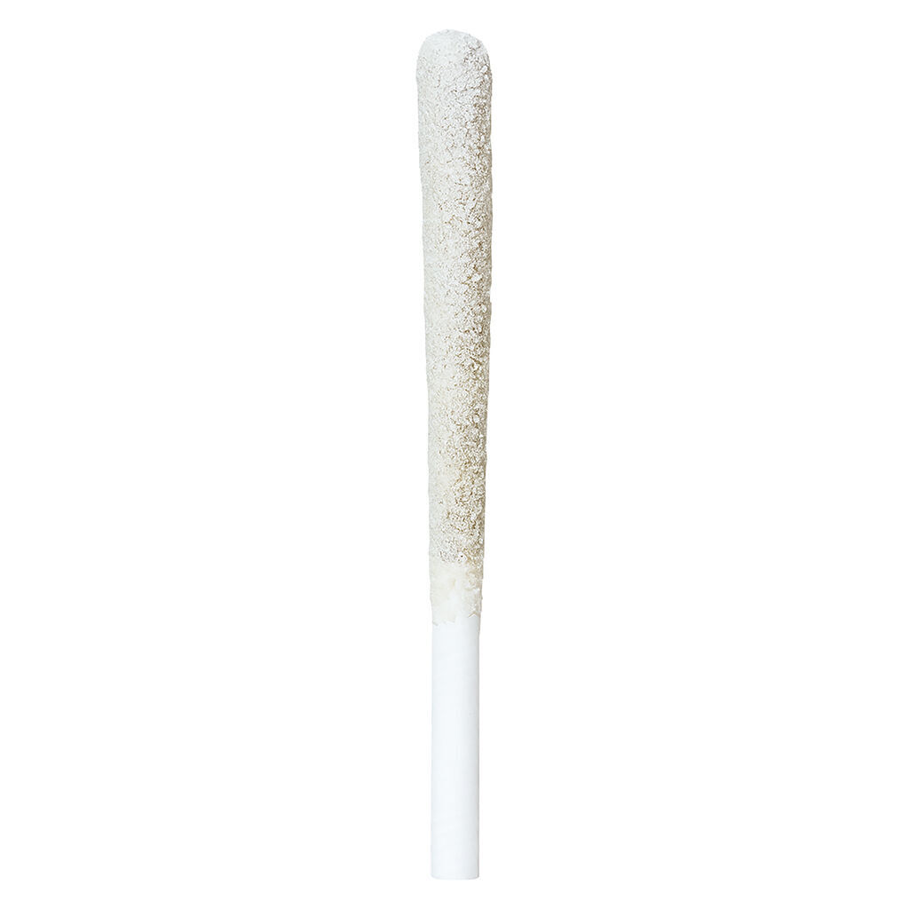 307 - Irony - Blueberry Muffin Infused Pre-Roll - 2x0.5g