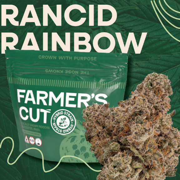 Rancid Rainbow | Flower (H)