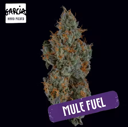 Mule Fuel I 3.5G Flower (TAX INCLUDED)