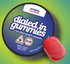 5mg Strawberry Hybrid Rosin Gummies 20pk