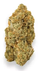 Castor Kush | Flower | Mixed Buds |