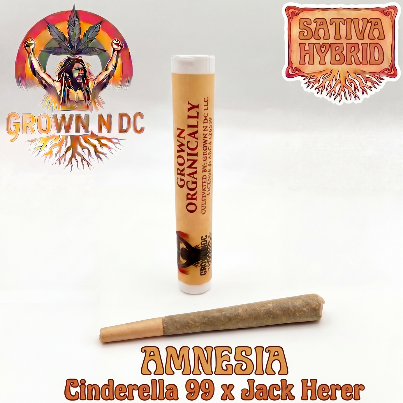 PreRoll: Amnesia