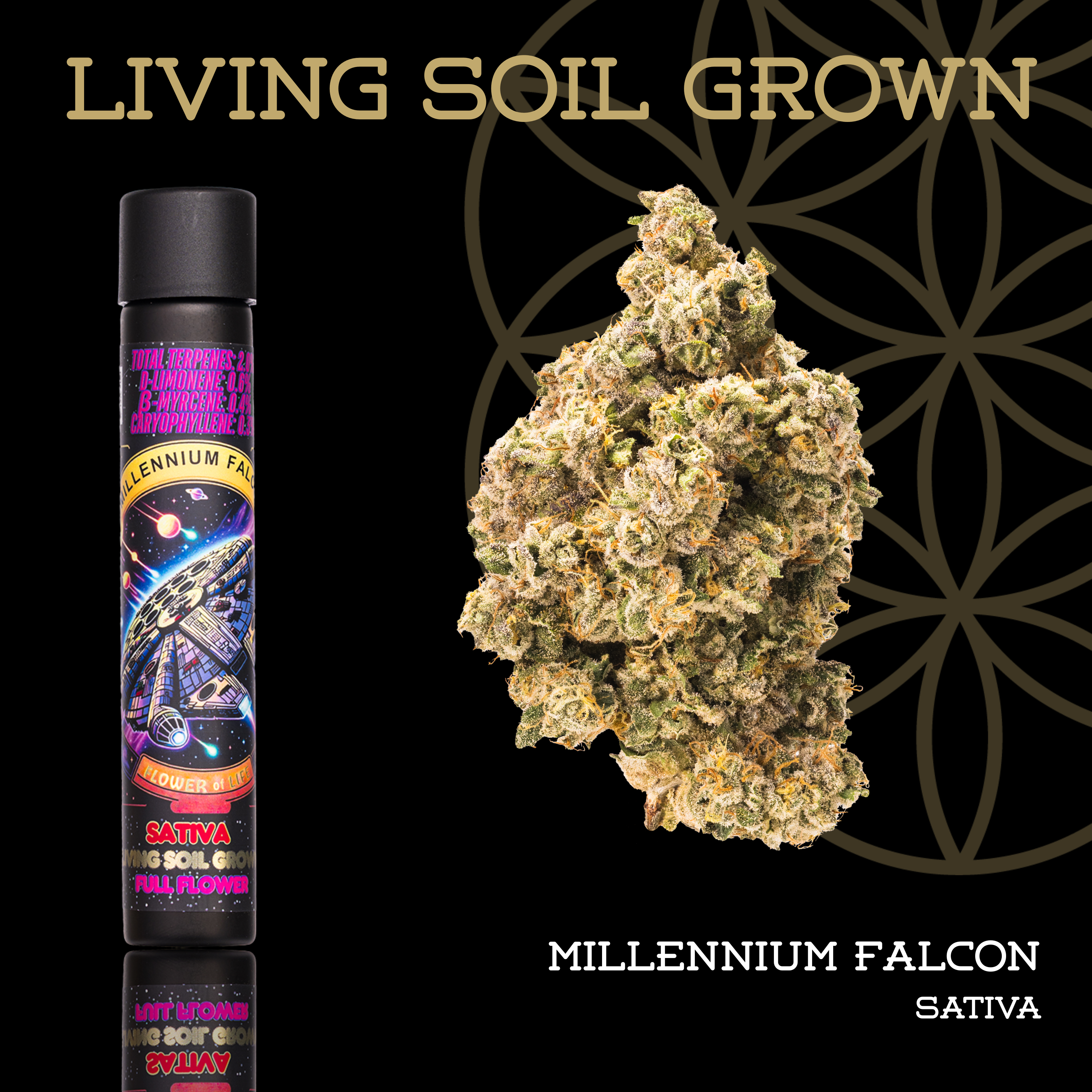 Living Soil | Millennium Falcon | Pre-Roll | 1g