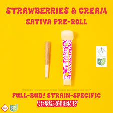 Strawberries & Cream Pre Roll