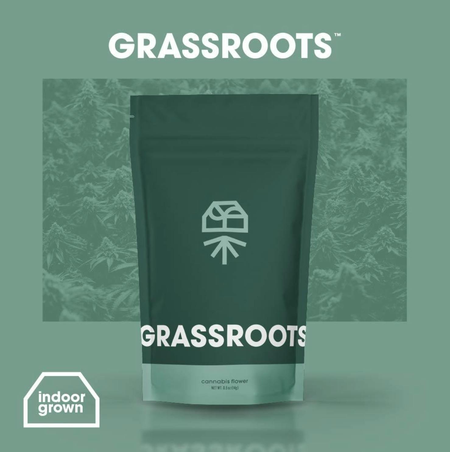 Garlic Kush Mints