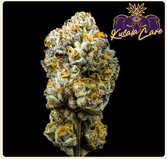 Kusala Care - Gary Payton - Bud