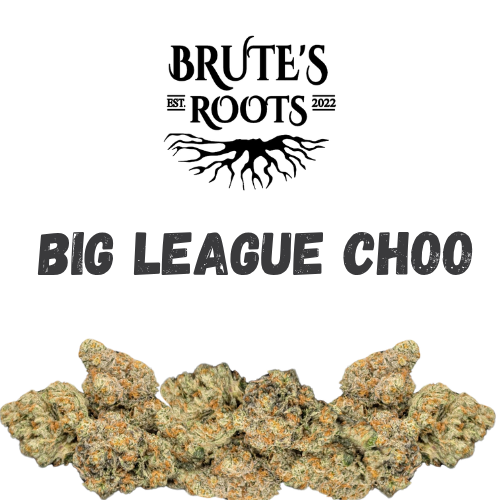 Flower - Big League Choo - Brute's Roots - REC