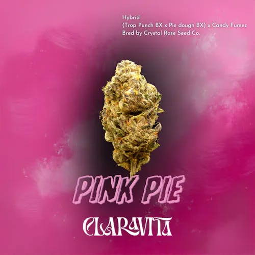 Pink Pie Buds