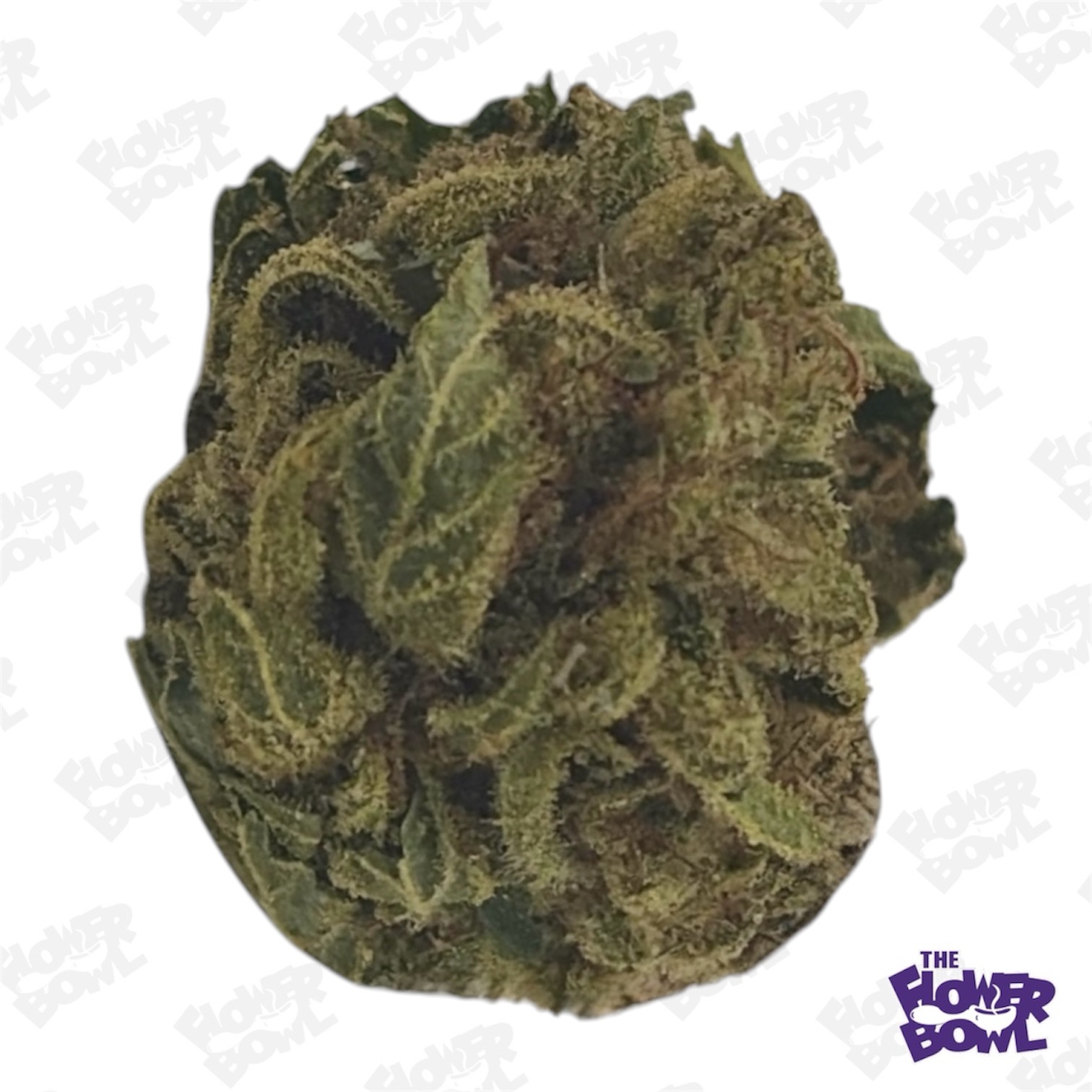 (CT) Grasshopper: Gorilla Glue 3 (H-I) Deli