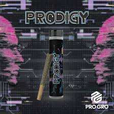 PRO GRO | PRODIGY | SATIVA | PRE-ROLL | 1G | REC