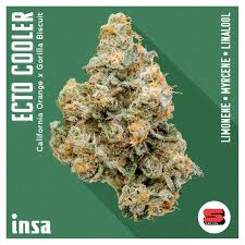 Flower | Ecto Cooler