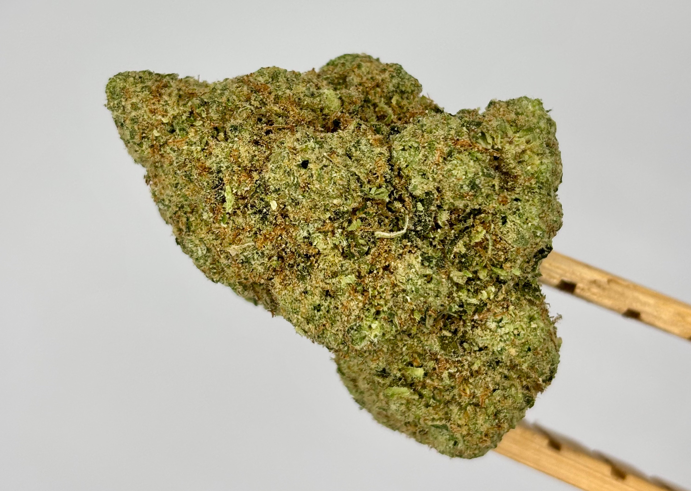 Snowball Bulk Flower