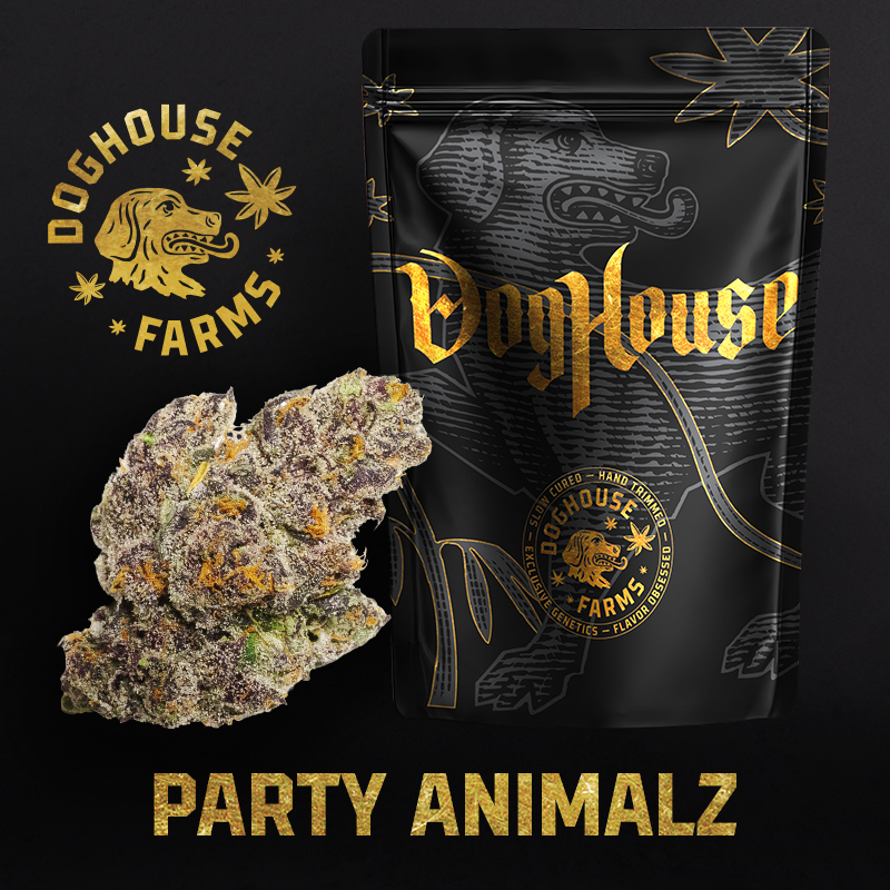 Doghouse  Buds - Party Animal