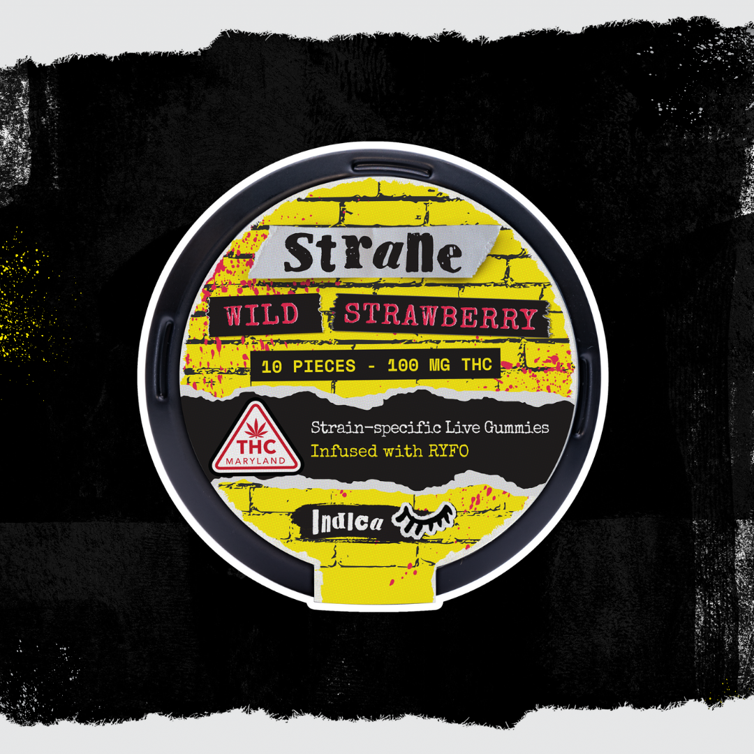 Wild Strawberry Live Gummies | 100mg