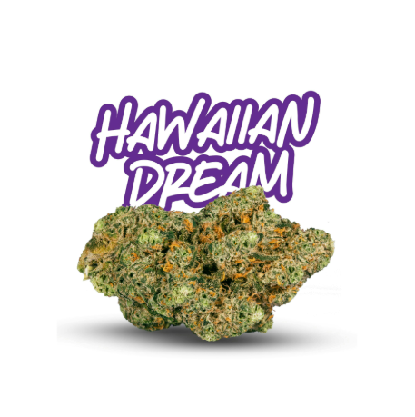 JUST FLOWER Hawaiian Dream Small Buds 5g