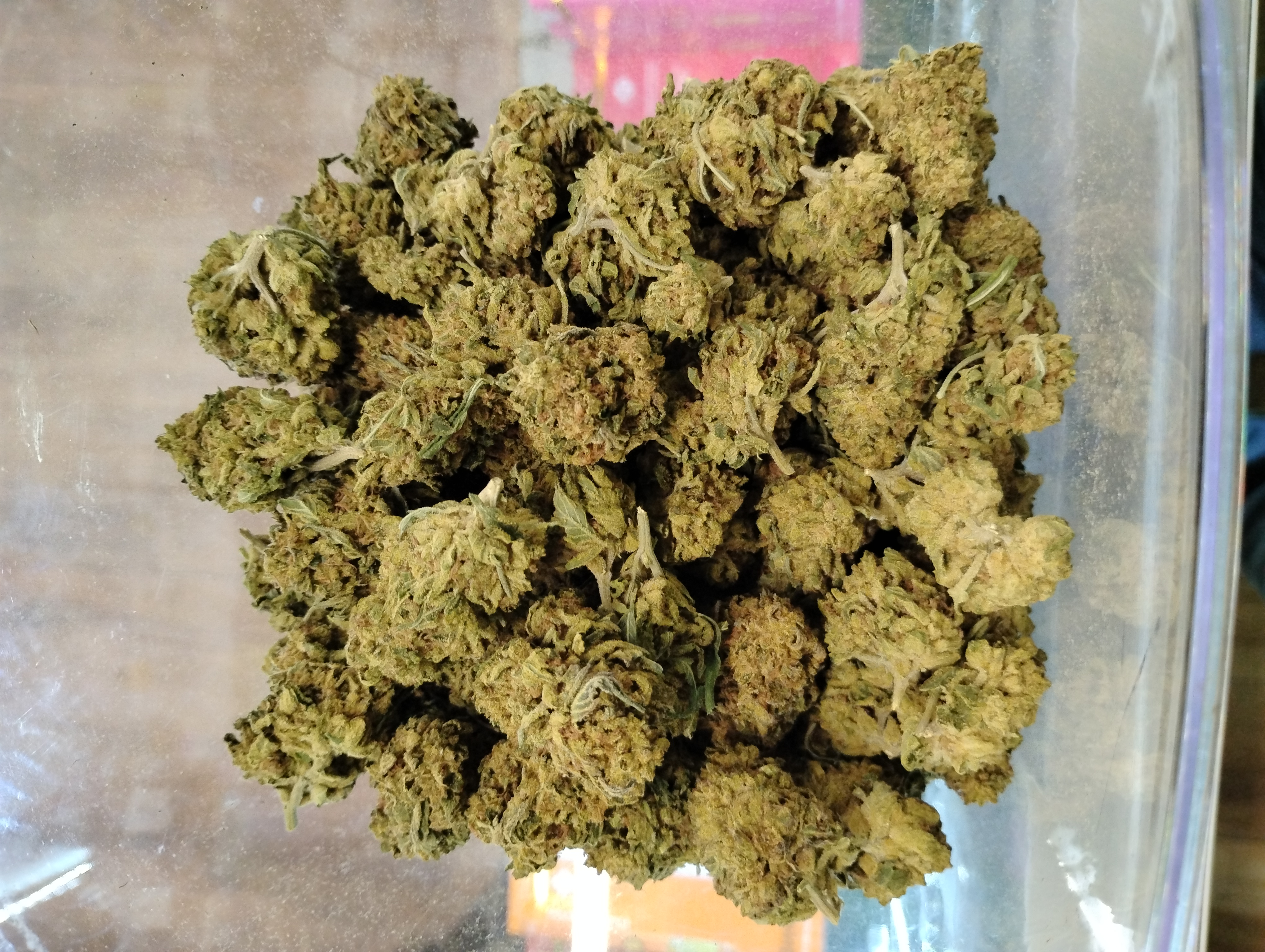 Zia Organics Garlic Breath