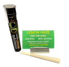 Lemon Haze Infused Pre Roll