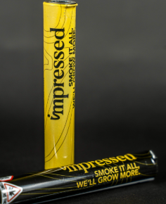 Rainbow Push Pop Pre Roll