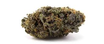 Grandaddy Bruce