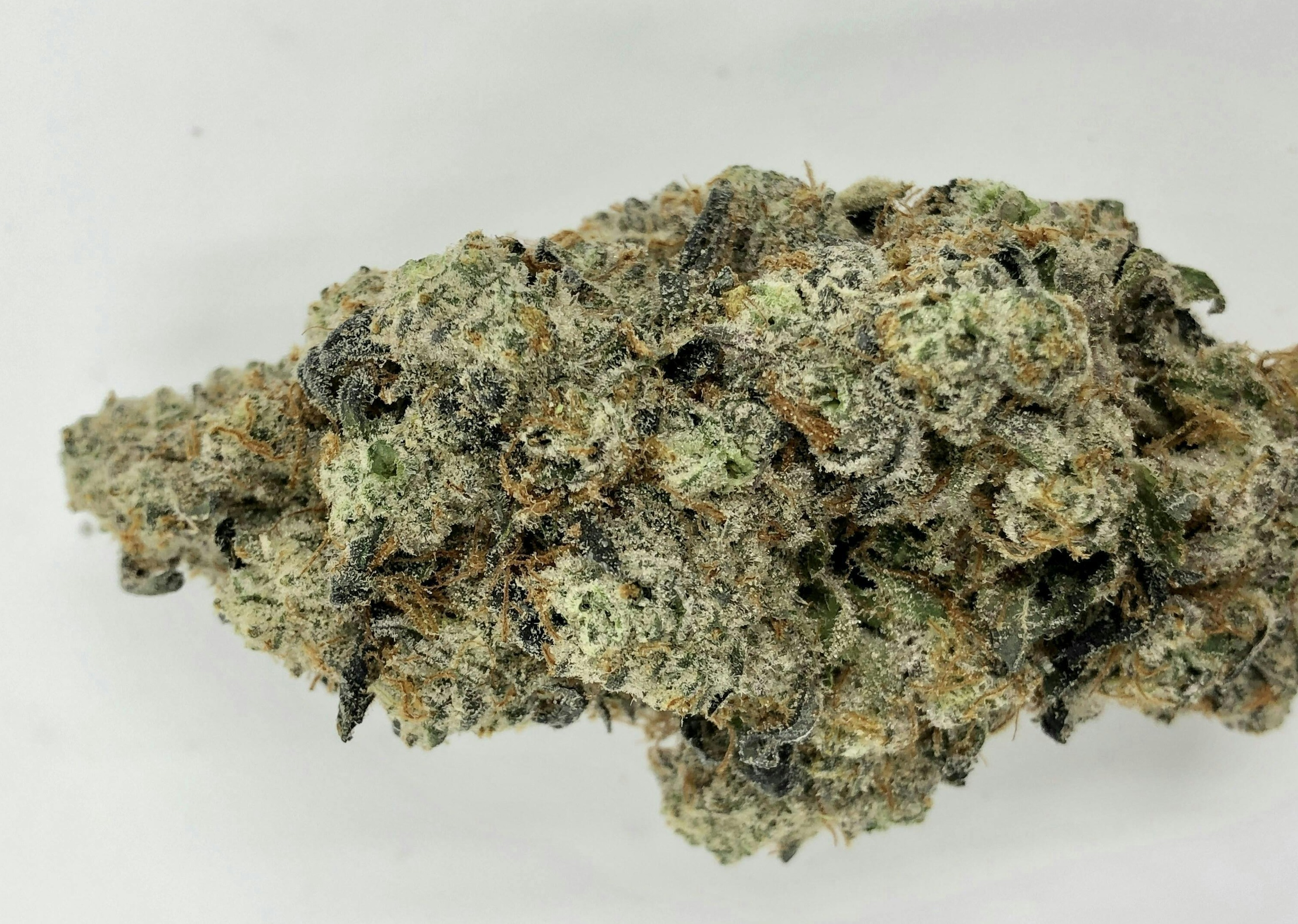 Animal Cookies x Kush Mints