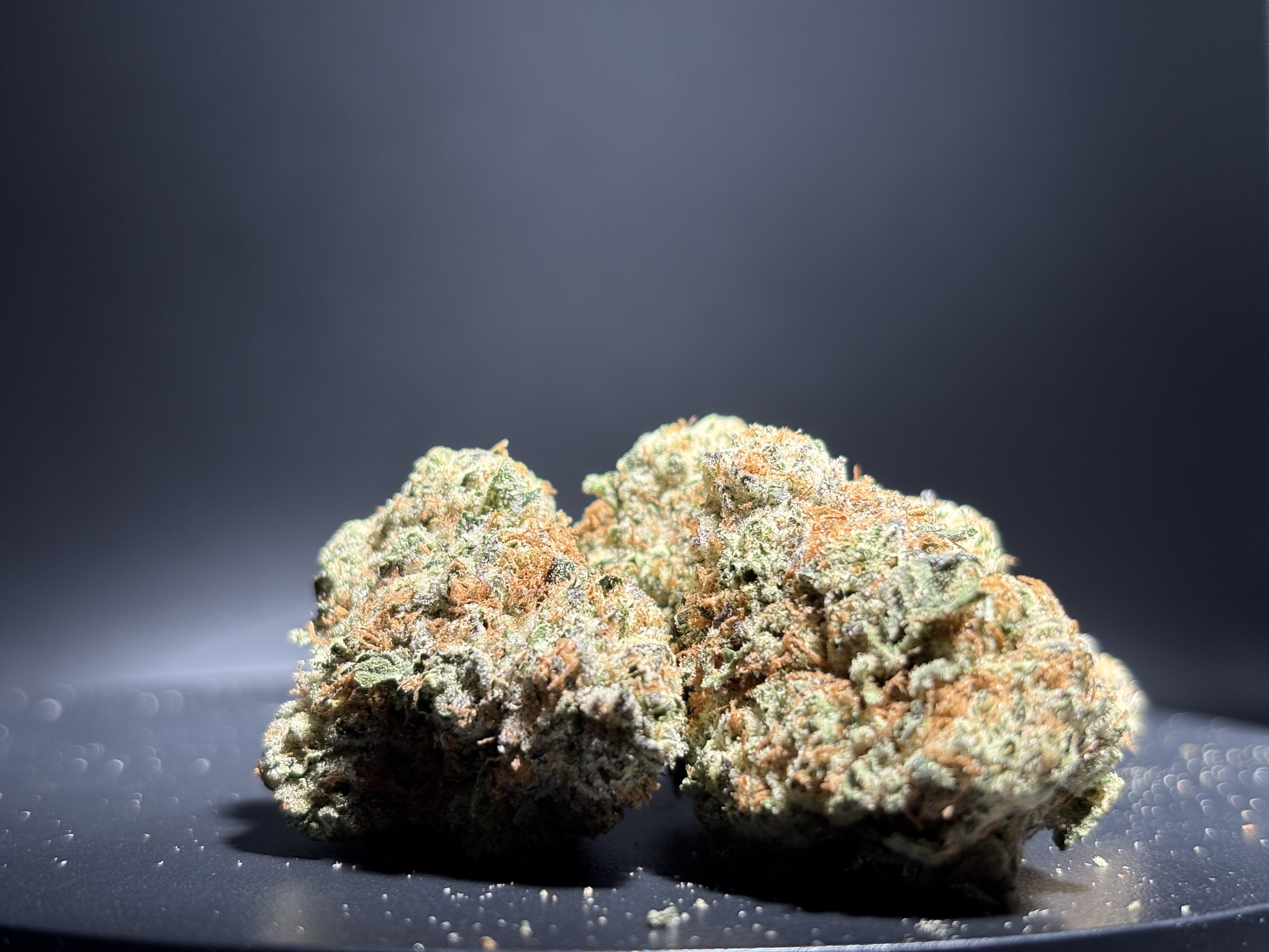 Pure Bliss Farms - Flower - Bulk - NY Mayhem