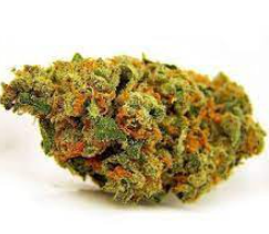 Mac n Jack  5pk Infused