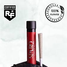Direct Deposit | 1g Pre-Roll